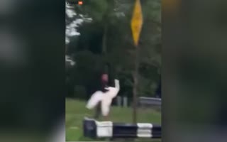 Multiple Degenerates Arrested After Kidnapping A White Swan From A Park In NYC